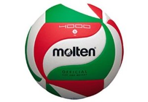 pallone da pallavolo